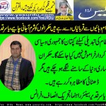 yasir,qadeer, senior, leader, Pakistan, Tehreek,e,Insaf,France