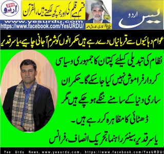 yasir,qadeer, senior, leader, Pakistan, Tehreek,e,Insaf,France