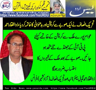 zulifqar،nagial،senior, Vice,President, Pakistan, Tehreek,e,Insaf,France