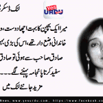 Beautiful memories, missed a few pages, a column by Shehla Ijaz on 26 Nov 2016