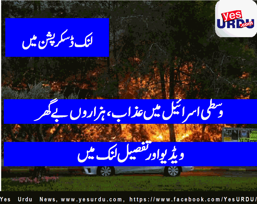 اسرائیلی شہر حیفہ میں آتشزدگی سے 80 ہزارسے زائد افراد نقل مکانی پر مجبور