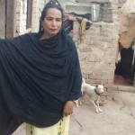 The Madame Buta a shemale from Jhang jumped in wrestlemania of electoral field