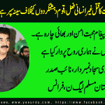 ch-sajjad-numberdar, PML, N, France
