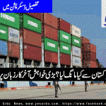 Pakistan's decision to allow that Russia use the Gwadar port