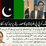 kifayat-naqvi، Ex Senior Vice President , PPP, France