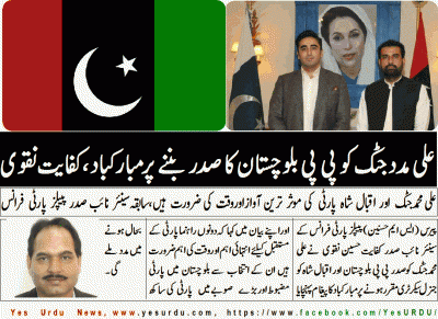 kifayat-naqvi، Ex Senior Vice President , PPP, France