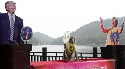 Monkeys and dogs declared potentially president of Trump