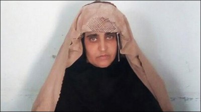 KP government orders not to drink flock to airport