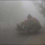 Lahore Zoo fzayyn smoke under cloudy fog