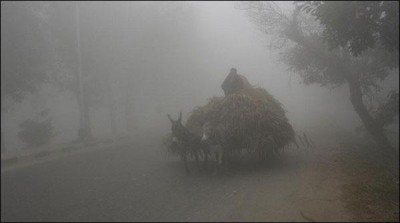 Lahore Zoo fzayyn smoke under cloudy fog
