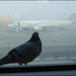Fog at Karachi airport, the track was 500 meters