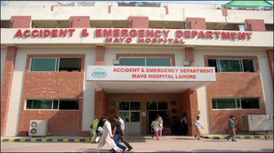 Mayo Hospital doctors and nurse-patient violence in the family