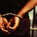 Sharbat gulla arrested flock to making fake identity cards