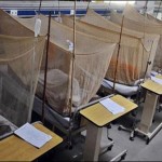 Lahore: Dengue virus confirmed in 141 people in a week