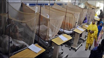 Lahore: Dengue virus confirmed in 141 people in a week
