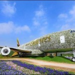 Dubai 5 million flowers and plants to decorate aircraft