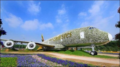 Dubai 5 million flowers and plants to decorate aircraft