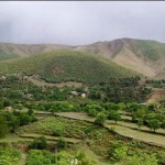 7 company official kidnapped from Hasan Khel oil