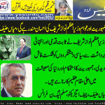 mian haneef