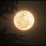 Seventy years after appearing in Super Moon devastated the alarm