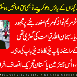 naimat-ullah-Senior-Leader-PTI-France