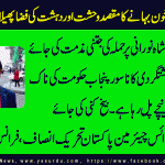naimat-ullah, PTI, France
