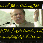 witnesses against nawaz-sharief and shehbaz sharief