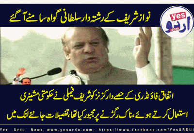 witnesses against nawaz-sharief and shehbaz sharief 