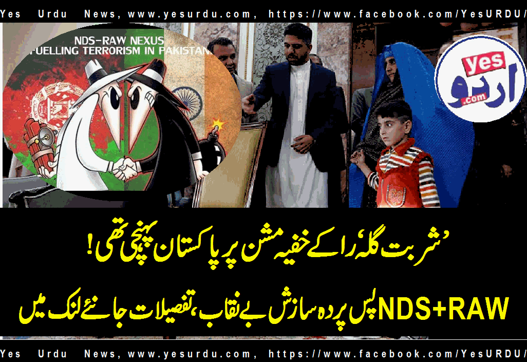 پاکستان سے جانے والی شربت گلہ کا بھارت میں مفت علاج، ملک ریاض نےاس موقع پر ایک نہیں دس شربت گلہ بھی ہوں تو سب کے علاج  کی ذمہ داری قبول کرلی