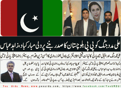 zahid-abbas, Senior Leader, PPP, Germany