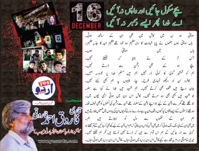 15556469_926571944110356_1643923175_o