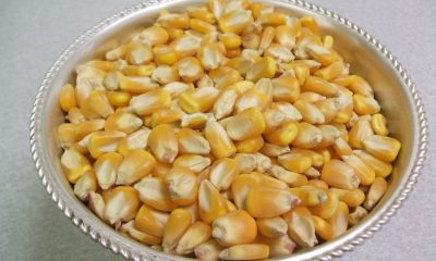 WHAT FOOD PEOPLE LIKE ON NEW YEAR