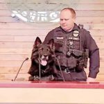 Announced his retirement press conference of Dog