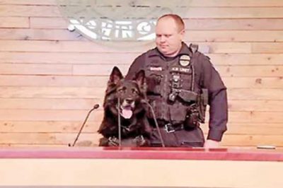 Announced his retirement press conference of Dog