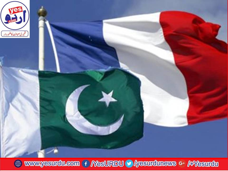 Need to increase investment and trade between Pakistan and France, Naeem ul Haq