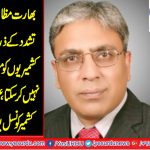 Chairman Kashmir Council, EU, Ali Raza Syed