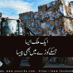 Sweden: become Garbage exporter