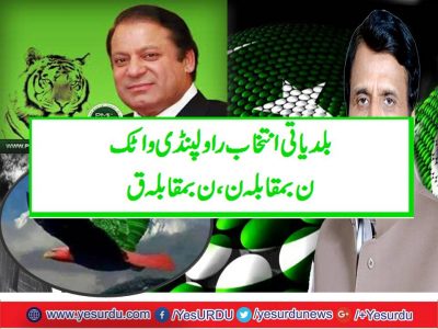 Punjab Chairman & Vice Chairman Election