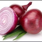 Onions eat and stay healthy in every season