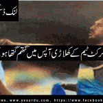 Yasir Shah and Wahab Riaz have to fight during practice