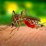 After dengue and Naegleria 'chicken Sack virus' attack in Karachi