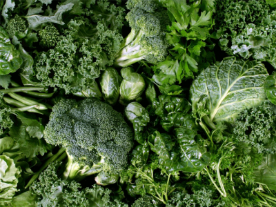 Green leaf vegetables and egg yolk improve memory, Research