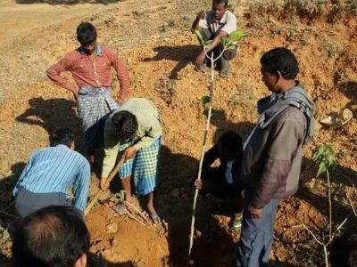 School fees a tree in India