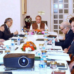 The government will not make the implementation of the National Action Plan as their spirit