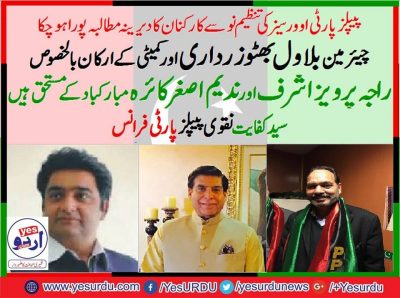 Syed Kifayat Hussain Naqvi, PPP, France