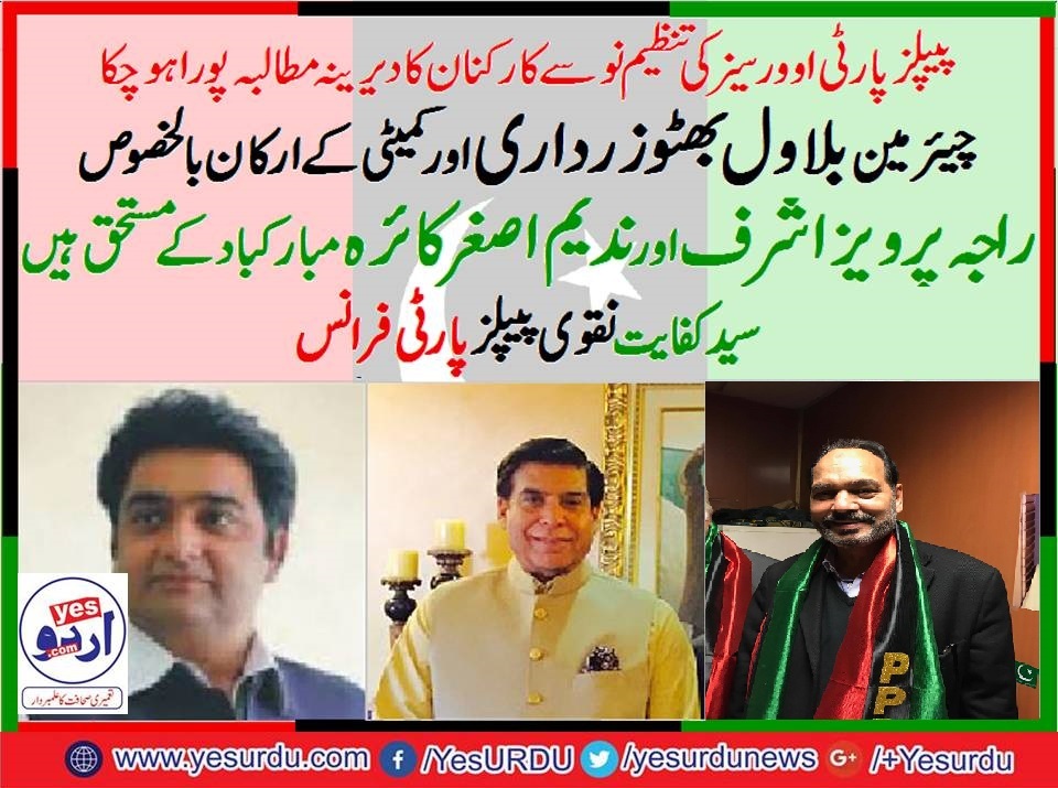Syed Kifayat Hussain Naqvi, PPP, France