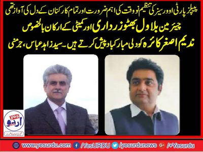 Syed Zahid Abbas, Germany