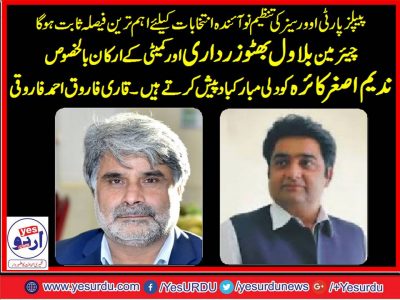 Qari Farooq Ahmed Farooqi, PPP, France