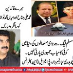 ch-sajjad-numberdar