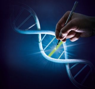 Merck Collaborates with Evotec